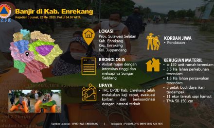 Banjir Sebabkan 11 Ternak Sapi Hanyut di Enrekang