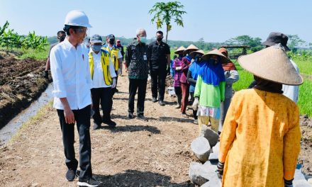 Presiden Jokowi Tinjau Proyek Padat Karya di Batang