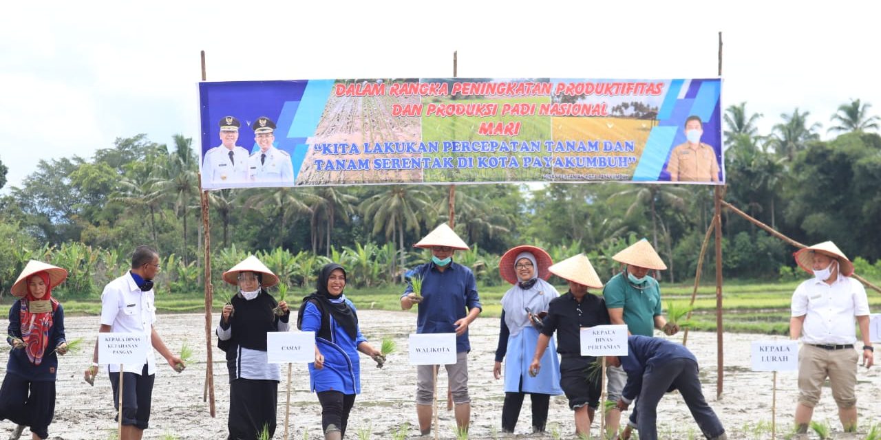 Tanam Padi Serentak Dicanangkan Wali Kota Payakumbuh Riza Falepi