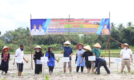 Tanam Padi Serentak Dicanangkan Wali Kota Payakumbuh Riza Falepi