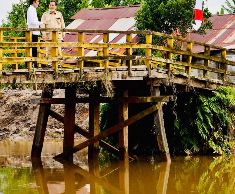 Presiden Tinjau Jaringan Reklamasi Rawa di Pulang Pisau