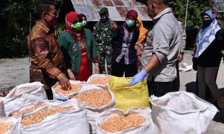 Dirjen PKP Resmikan Gudang Jagung dan Pupuk yang Dikelola BUMDes