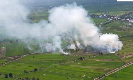 Antisipasi Karhutla Tahun Ini, BNPB Siapkan Langkah Dini