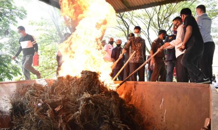 Bersama Forkopimda, Pemusnahan Barang Bukti Narkotika Jenis Ganja Seberat 98.380 gram Digelar