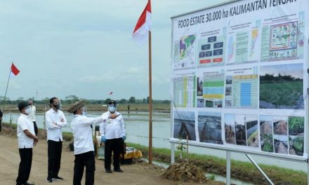 Kembangkan Pertanian Berkelanjutan, Presiden: Kita Harapkan Pendapatan Petani Akan Meningkat