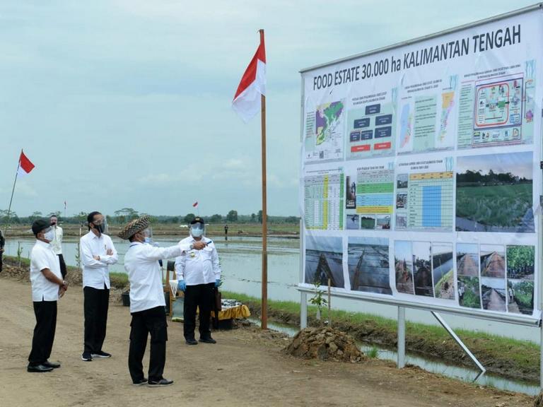 Kembangkan Pertanian Berkelanjutan, Presiden: Kita Harapkan Pendapatan Petani Akan Meningkat