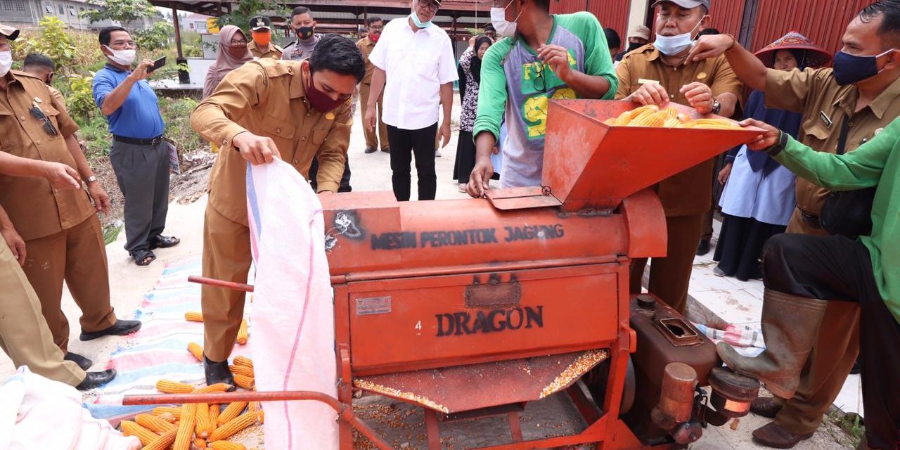 Panen Jagung Perdana, Wako Riza Harap Warga Dapat Manfaatkan Lahan Tidur