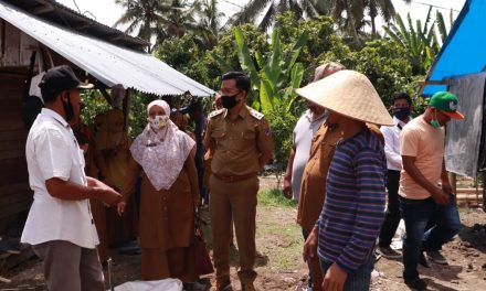 Dukung Kegiatan Sekolah Lapangan Tani Cabai, Harapan Besar Bagi Wawako Erwin Yunaz Agar Petani Sejahtera