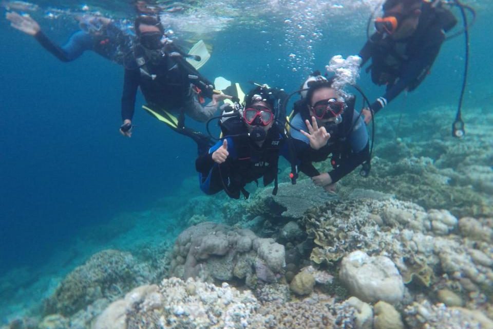 Wamendes PDTT Menyelam, BUMDes Bersama Kanturu Kelola Dive Center di Wakatobi