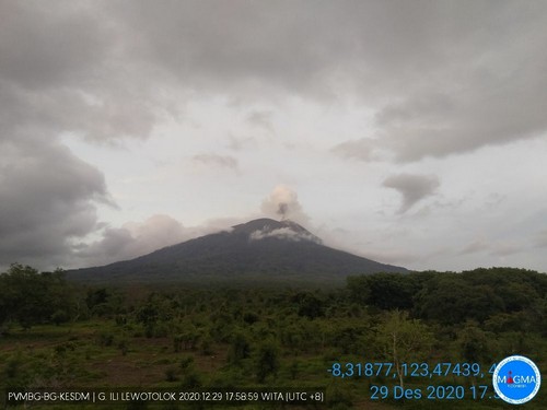 Erupsi Gunung Ili Lewotolok Paling Signifikan di Tahun 2020