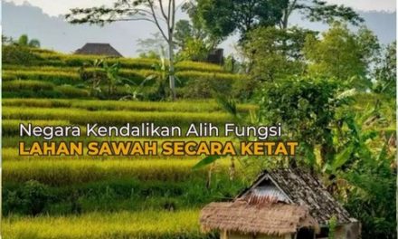 Negara Kendalikan Alih Fungsi Lahan Sawah Secara Ketat