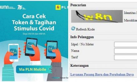 Stimulus Listrik Februari Sudah Bisa Dinikmati, Lewat PLN Mobile Lebih Mudah