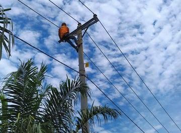 PLN Listriki Desa Sentra Tambak Udang di OKI, Sumsel