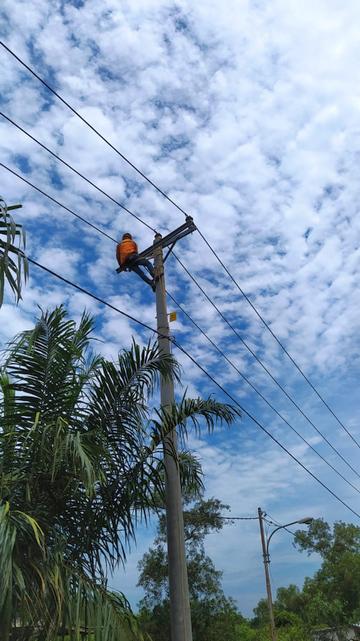 PLN Listriki Desa Sentra Tambak Udang di OKI, Sumsel