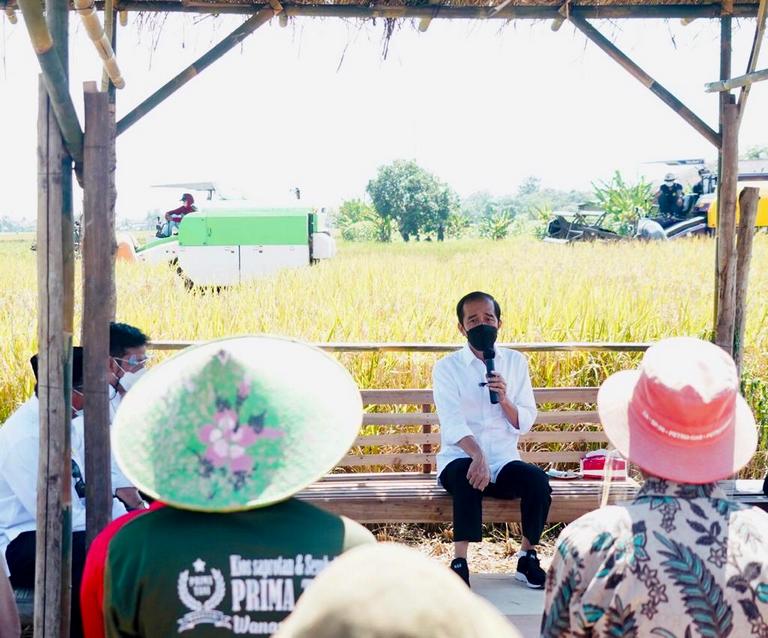 Presiden Jokowi Tinjau Panen Padi dan Berdialog dengan Petani di Indramayu