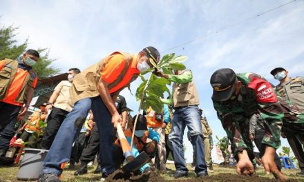 Kepala BNPB Tanam Butun dan Palaka Guna Perkuat Mitigasi Berbasis Vegetasi di Selatan Jawa