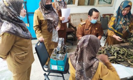 Ampuh Turunkan Panas Demam dan Tingkatkan Imun, Camat Payakumbuh Timur Bagikan Daun Sungkai Untuk Masyarakat Positif Covid-19