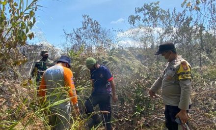 Karhutla Seluas 1,6 Ha di Wilayah Penajam Paser Utara Padam