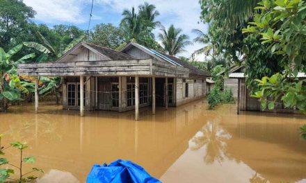 Banjir Tanah Bumbu Kembali Rendam 127 Rumah di Empat Desa