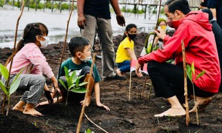 Presiden: Rehabilitasi Mangrove Akan Terus Kita Lakukan