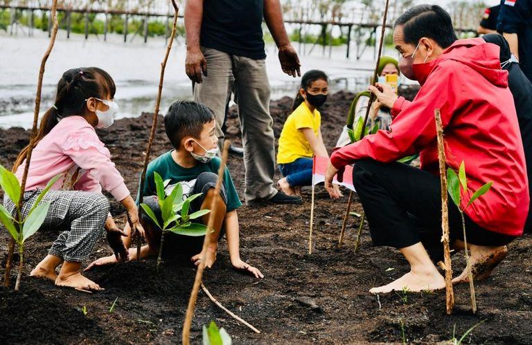 Presiden: Rehabilitasi Mangrove Akan Terus Kita Lakukan