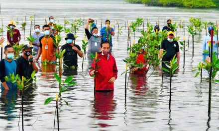 Presiden “Nyemplung” Saat Tanam Mangrove Bersama Masyarakat di Batam