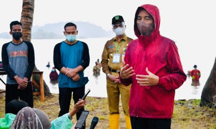 Presiden Tekankan Pentingnya Merawat dan Memelihara Hutan Mangrove di Tanah Air