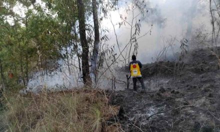 Kebakaran Semak dan Lahan Terjadi di Taman Wisata Alam Gunung Batur Bukit Payang Bangli