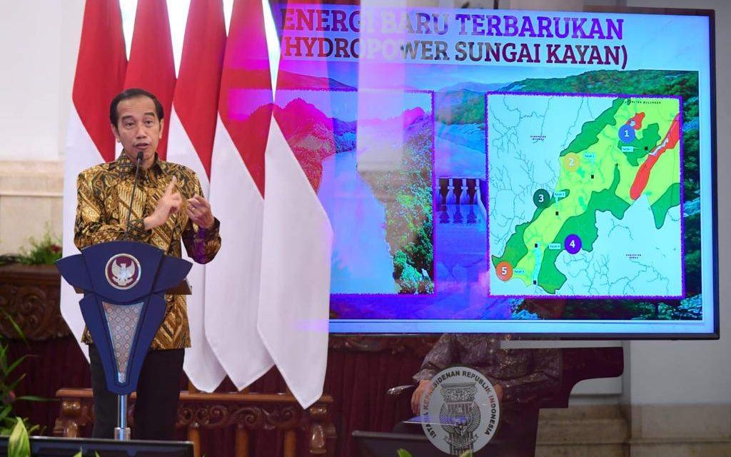 Potensi Besar Indonesia pada Ekonomi Hijau dan Digital