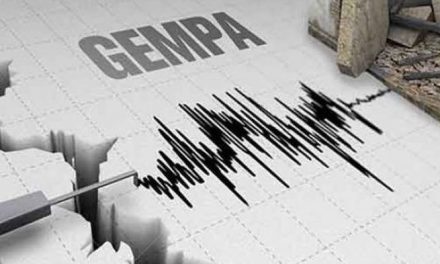 [Update]: Frekuensi Aftershock Gempabumi M 7,4 Menurun, Masyarakat Bisa Beraktiftas Seperti Biasa