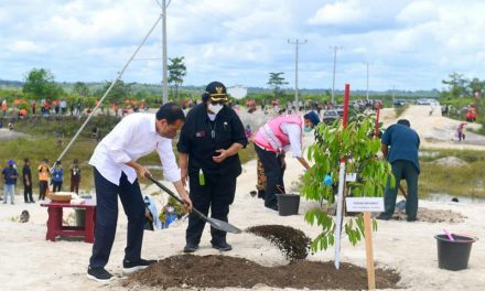 Rehabilitasi Kerusakan Hutan, Presiden Jokowi Tanam Pohon di Area Bekas Tambang