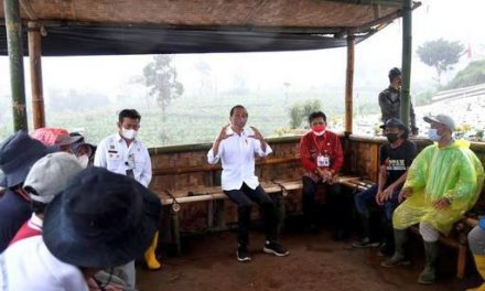 Dialog dengan Presiden, Petani Wonosobo Ungkapkan Manfaat Lumbung Pangan bagi Mereka