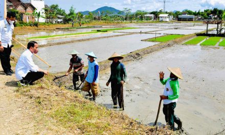 Petani Trenggalek Nantikan Kiprah Generasi Milenial