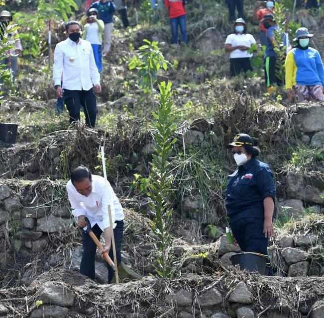 Presiden Jokowi Tanam Pohon Bersama Masyarakat di Desa Simangulampe