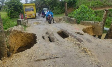 Sebanyak 59 Gampong Dikepung Banjir di Aceh Timur