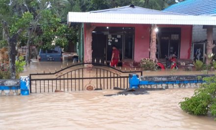 865 Unit Rumah Terendam Banjir di Kabupaten Toli-toli