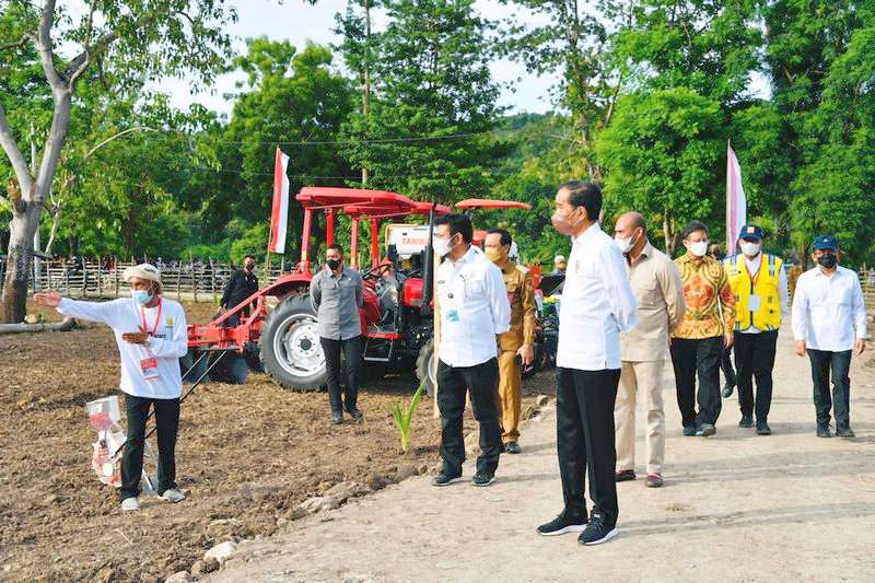 Presiden Dorong Pemanfaatan Teknologi Sistem Pertanian di NTT