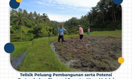 Telisik Peluang Pembangunan serta Potensi Pertumbuhan Ekonomi Sumatra Utara Melalui Reforma Agraria