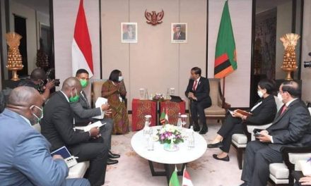 Bertemu Wakil Presiden Zambia, Presiden Jokowi Bahas Penguatan Kerja Sama Ekonomi