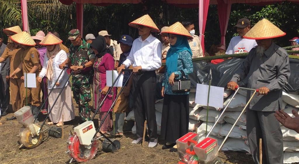 50 Hektar Lahan Tidur Disulap Bupati Safaruddin