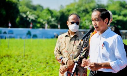 Presiden Jokowi Instruksikan Kemlu dan Dubes Bantu Kepulangan Jenazah Eril