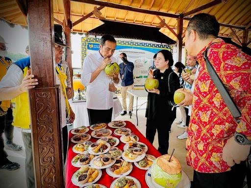 Saat Presiden Jokowi Nikmati Kelapa Muda di Bendungan Sepaku