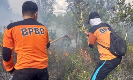 Tim Gabungan Berhasil Padamkan 2 Hektar Lahan Terbakar di Sukamara