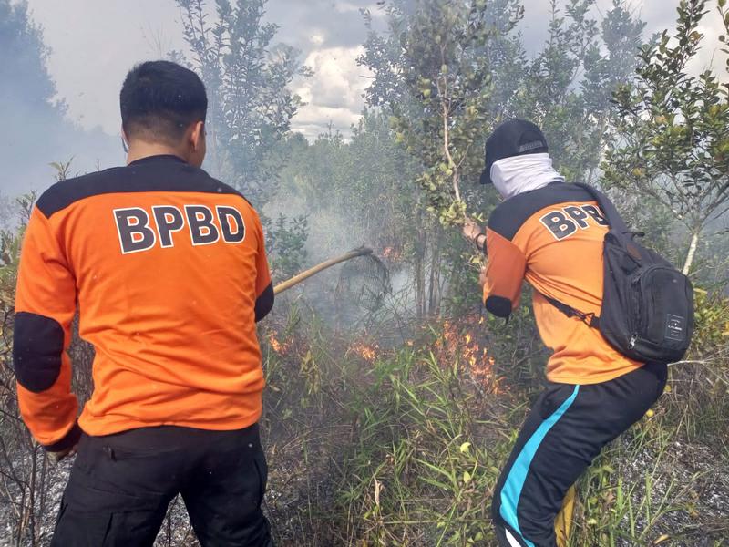 Tim Gabungan Berhasil Padamkan 2 Hektar Lahan Terbakar di Sukamara