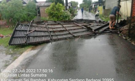 Angin Puting Beliung Mengamuk, Satu Warga Serdang Bedagai Meninggal Tertimpa Pohon