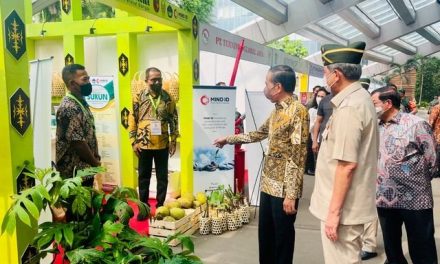 Di Stand Kodam Pattimura, Jokowi Cermati Sukun