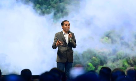 Presiden Sampaikan Peluang Investasi di IKN kepada Para Investor