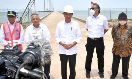 Tinjau Pelabuhan Tanjung Ular, Presiden Berharap Dongkrak Daya Saing Daerah