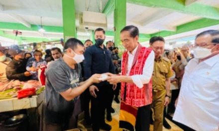 Presiden Jokowi Cek Harga Bahan Pangan di Pasar Kemuning Pontianak