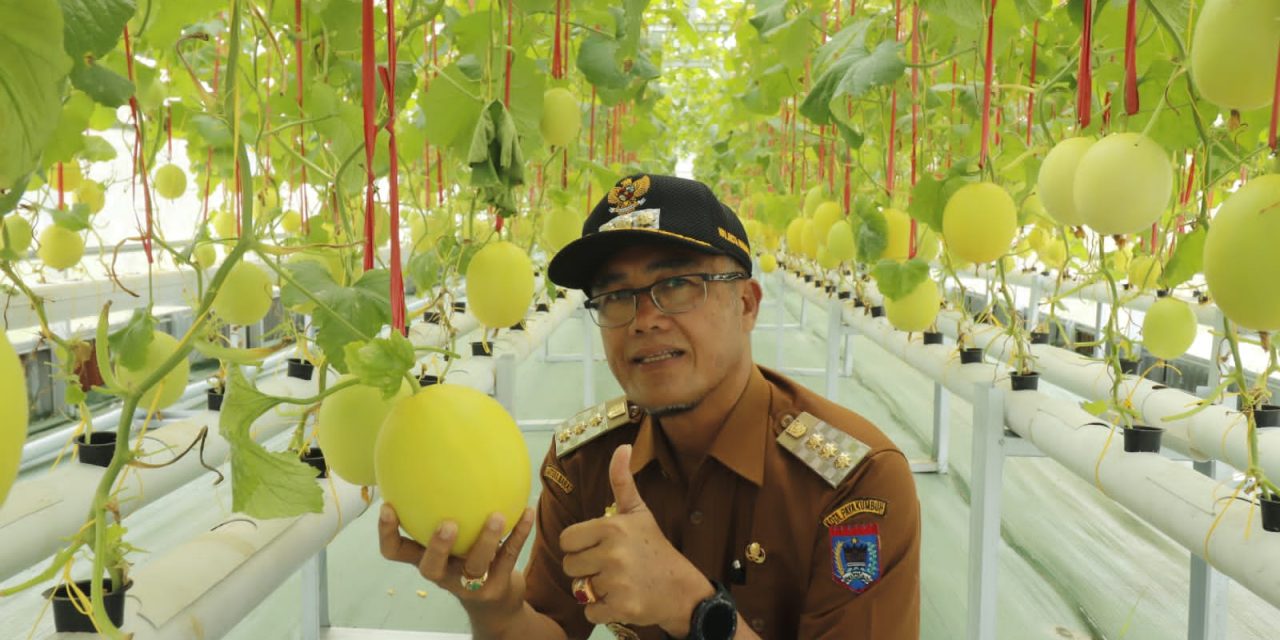 Wako Rida Ananda Apresiasi Kisai Agro Sebagai Salahsatu Destinasi Agrowisata Terbaik Di Payakumbuh